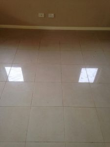 Tile Cleaning Perth-before