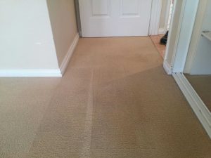 carpet dry cleaning perth after
