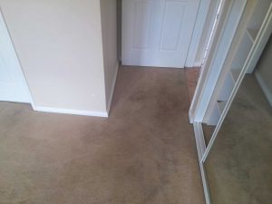 carpet dry cleaning perth
